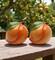 Ceramic Peach Salt and Pepper Shakers, Home Décor, Gift for Her, Gift for Mom, Kitchen Décor, Farmhouse Décor